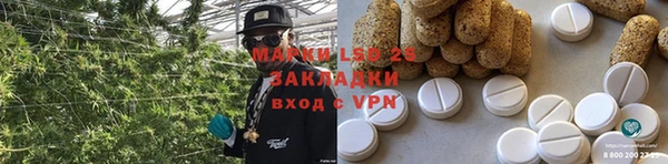 ПСИЛОЦИБИНОВЫЕ ГРИБЫ Балахна