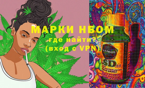 ПСИЛОЦИБИНОВЫЕ ГРИБЫ Балахна