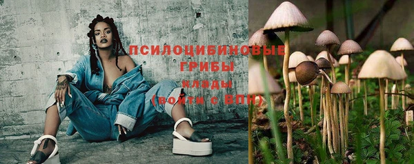 ПСИЛОЦИБИНОВЫЕ ГРИБЫ Балахна