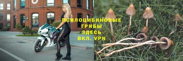 ПСИЛОЦИБИНОВЫЕ ГРИБЫ Балахна