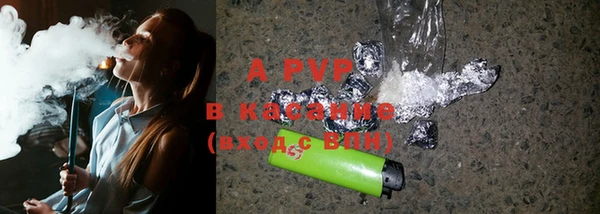 ПСИЛОЦИБИНОВЫЕ ГРИБЫ Балахна