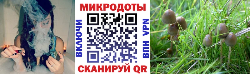 наркотики  Севск  kraken сайт  Галлюциногенные грибы GOLDEN TEACHER 